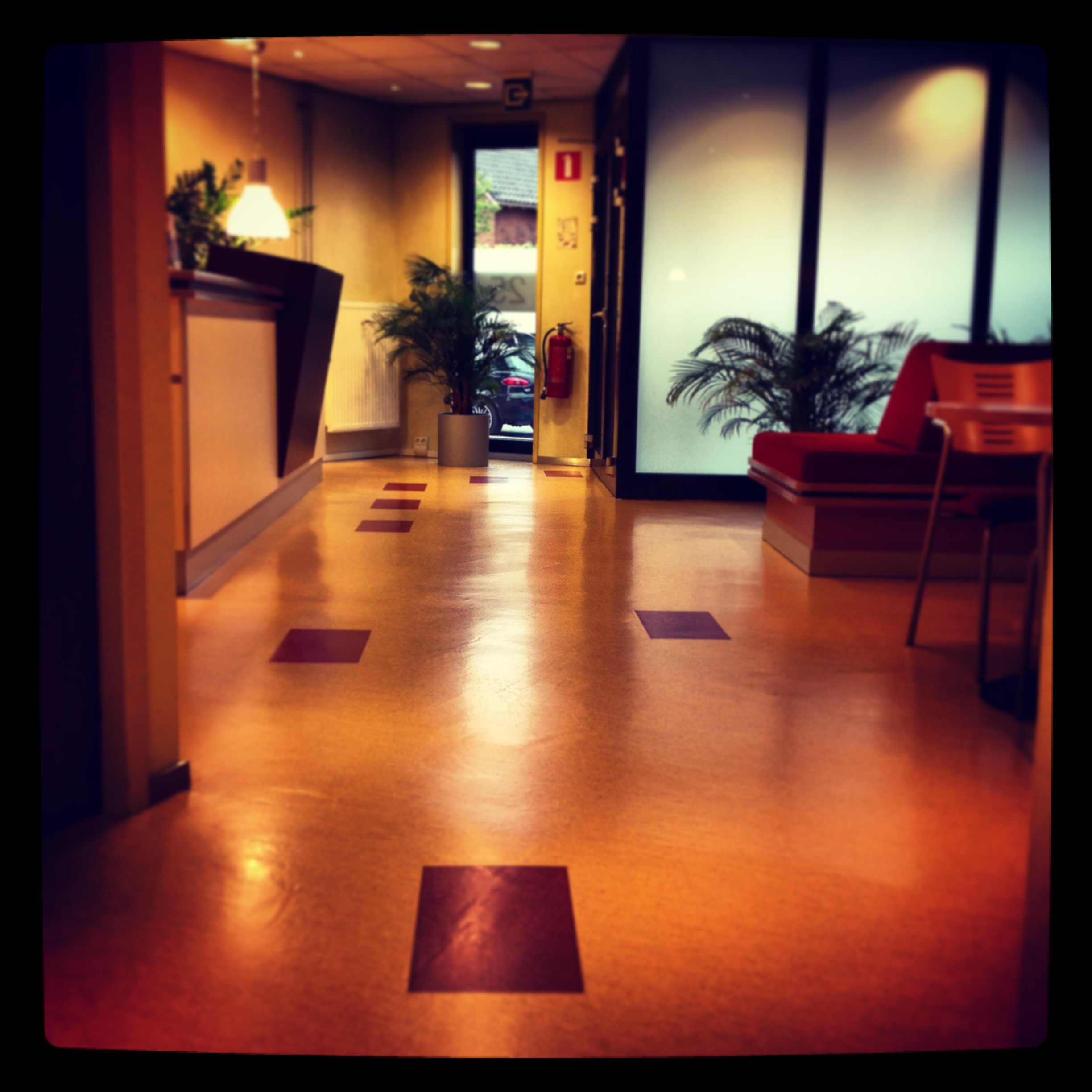 Marmoleum specialist